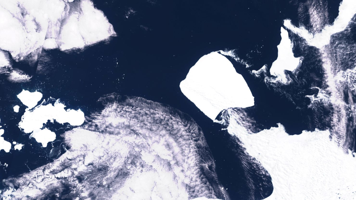 Section image